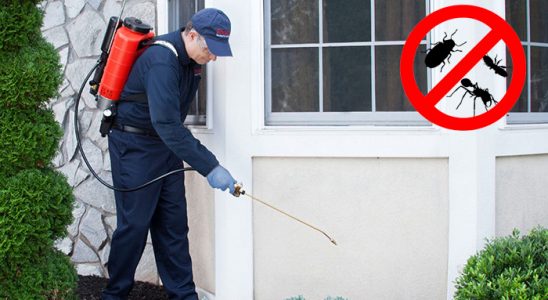 Gümüşhane Kene İlaçlama böcek ilaçlama ve haşere kontrolü — ilaclama-tr.com